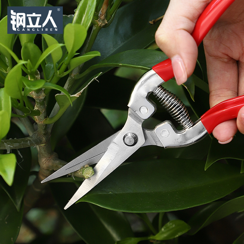 不锈钢PP手柄修枝剪刀园艺剪花枝插花工具花艺剪刀园林修枝剪轻便