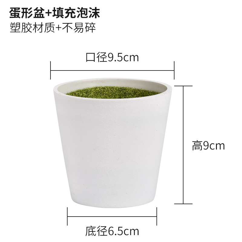 계란 모양의 분지 + 충전 거품