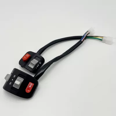Qiaoge Combination Switch Assembly | Other Electric Vehicle Accessories