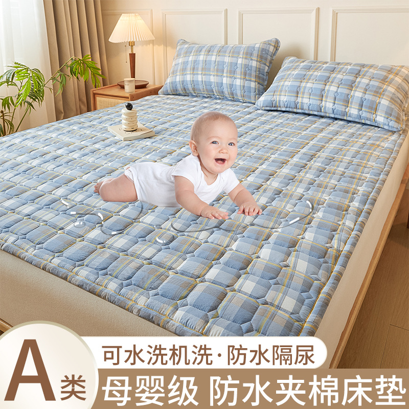 블루 그레이 체크