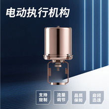 ������ֱ�г�ִ�л���IP55�綯����װ��FRY65FRY99��������ִ����
