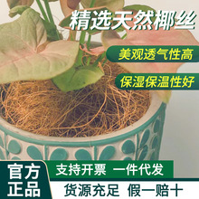 �M����ȻҬ�z��滨�����b����������ؙ��w���͸�Ᵽ��|�ײ���