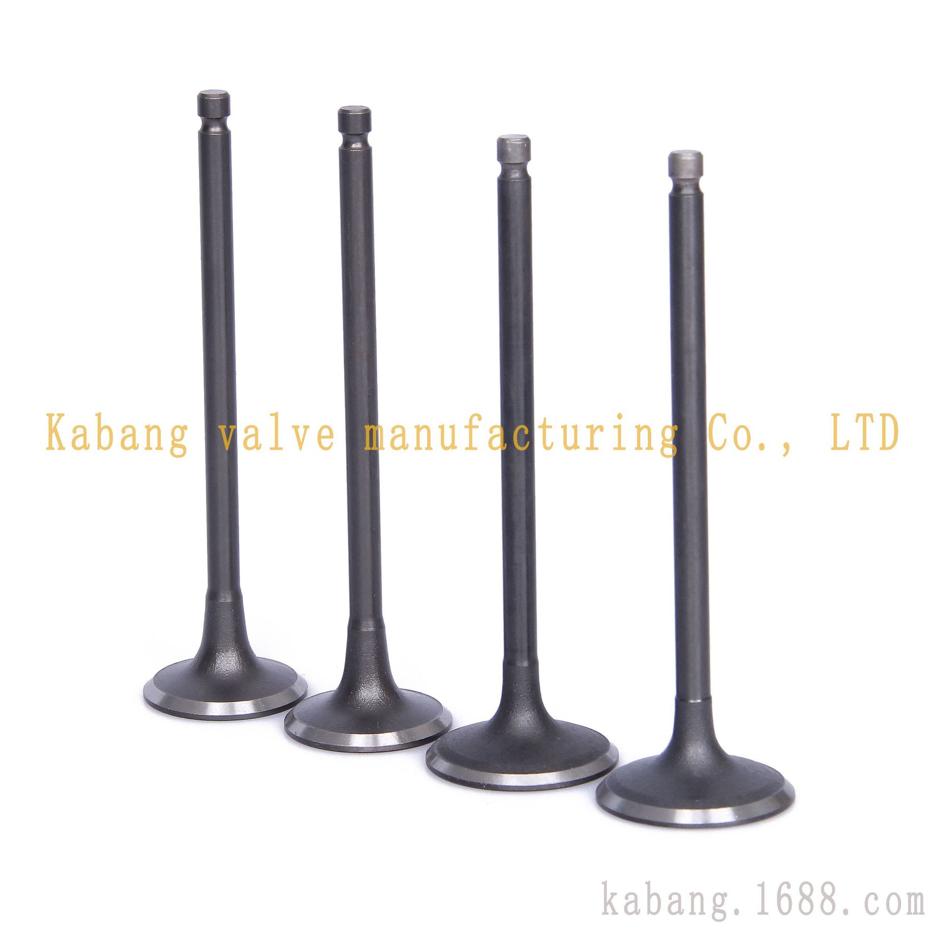Yutong Daewoo General Series Engine Intake and Exhaust Valve 94580146 94581486 (Valve components)