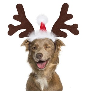 Amazon Christmas Dog Elk Reindeer Antler Headband Christmas Hat Pet Cat Party Cute Hair Band Hat