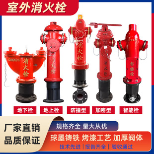 ��������˨����ʽSS100/65150/80��������˨����ʽ���ͼ��ܷ�ײ˨