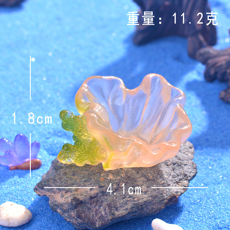 산호 굴 껍질