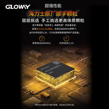 光威（Gloway）48GB(24GBx2)套装 DDR5 6800 台式机内存条 神策RG