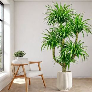 �͏d���;Gֲ��Ѫ�������k���҃����p�Ӷ��^��횘���w��լ����ȩ