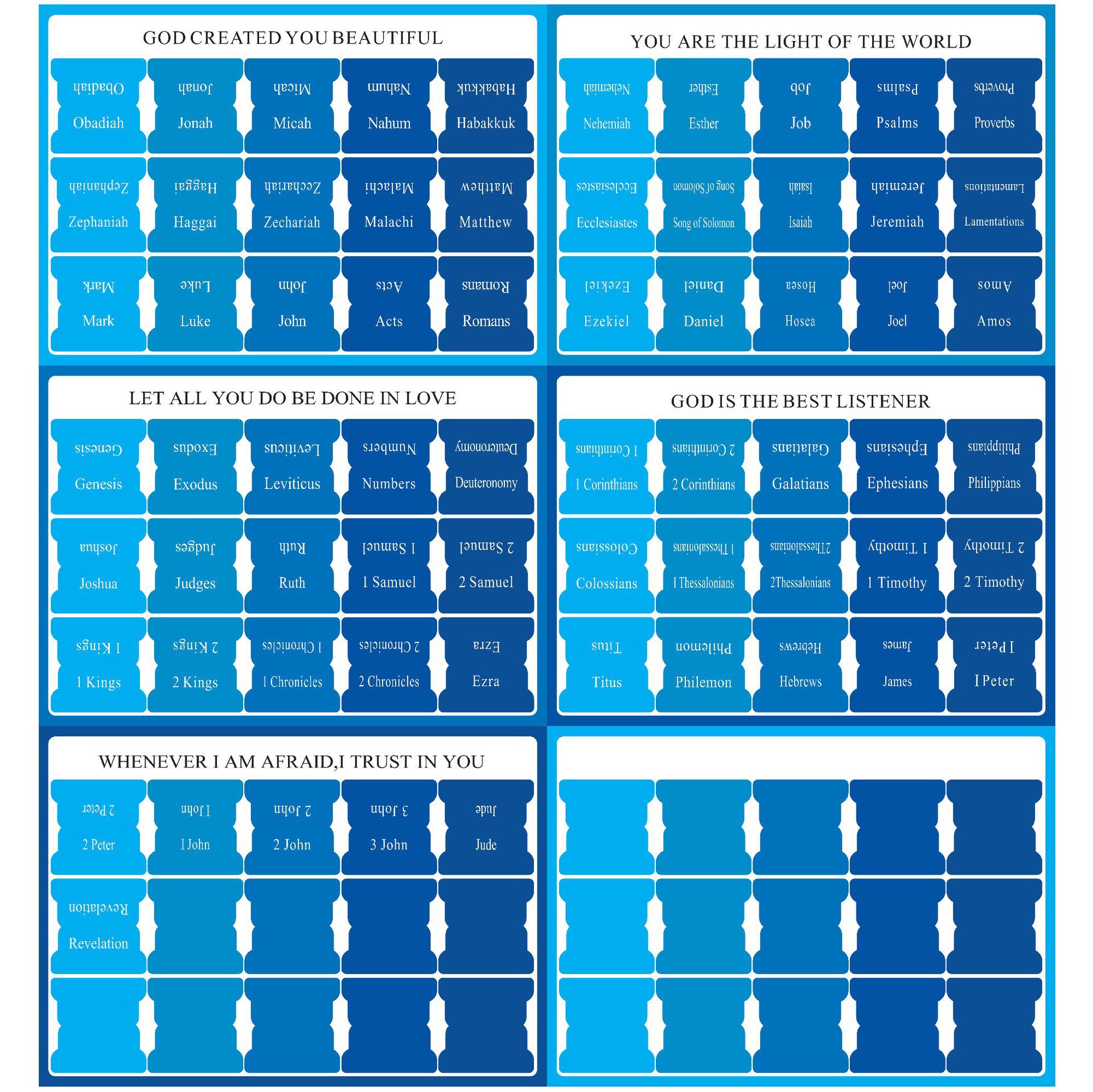 블루 모델-6 사진