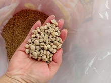 純大豆發酵  生物有機菌肥   有機肥  廠家批發