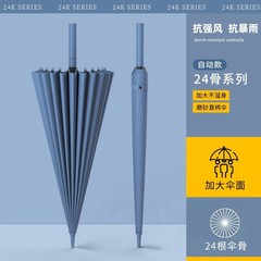 24骨长柄雨伞自动双人森系女学生暴雨专用加固结实耐用晴雨两用