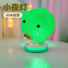 小夜灯;个人报警器;电池配件