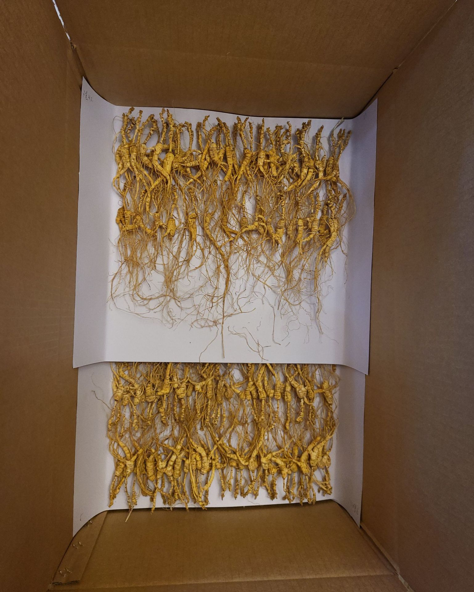 Wild Mountain Ginseng Gift Box Dried Root Slices 15 Years and Above for Soup and Decoction preparation
