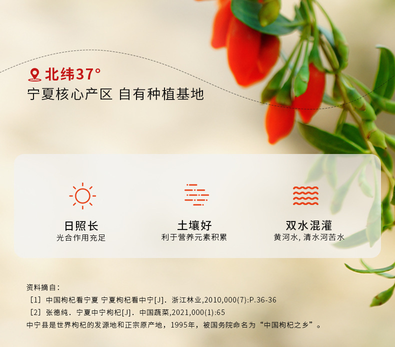 Premium Ningxia Goji Berries 250g White Jar 280 Large Dried Wolfberry Fruit Ready to Eat quality and texture