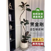 Ƥڽ;GֲԿ͏d҃k~ļ^~ֲ՚