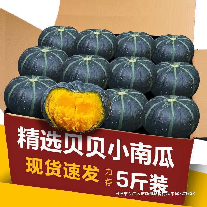 Vegetable Baby Food Supplement 5 Pumpkin Mini Chestnut Wholesale 3 Free Shipping Small Pumpkin Fresh Flavor All Year Round