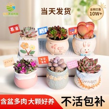 ����ֲ��С���Դ��w���B�Ժ��҃��k������¶�ҵ�����������