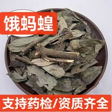 饿蚂蟥 中药材 小槐花 小儿疳积 山蚂蟥 粘身草胃痛草 支持药检