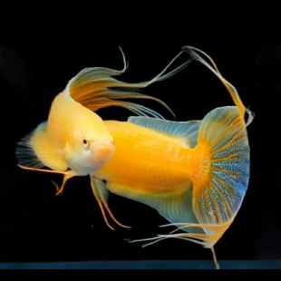 �Ї����~��ؔ�S���������ˮ��ˮ�^�p�~���B�ͻ���Ӝؑ����~