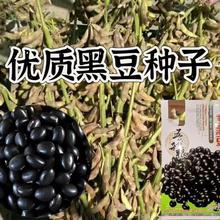 �ڶ��N�Ӻ��S�����ﲥ�N�Gо�ڶ����r���ԷN��С���N�ЙC