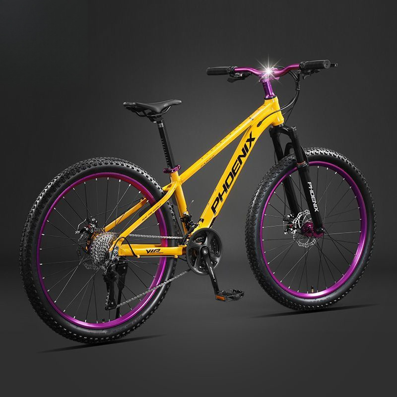 Mountain Bike Aluminum Alloy Men's and Women's Shock-Absorbing Off-Road Variable Speed Dirt Bike