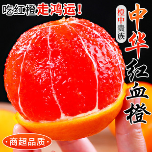 ���wѪ�����A�t�����r����ˮ����������t��������ք�������10��