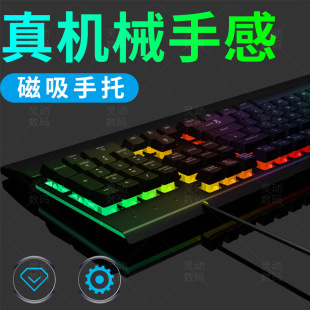 �Cе�ָоW���I�P �Α�������l���I�P�������������� �羳�F؛