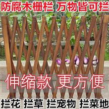 ����ľ�ř���s��؇���̼�����Wľ�h�ʈ@ˇ���T�����o��ͥԺ�̨