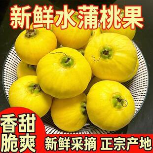 �V�|���rˮ���Ҵ�����õ�������������K�������ԷN���|��