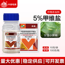 ���r˼�_5%�׾S�}���S���ر������}���{С�˶��rș���x��