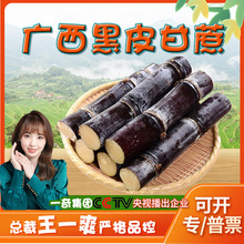 【严选】广西黑皮甘蔗 代发3/9斤精选中段新鲜紫皮甘蔗新鲜甜柑当