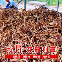 ��Ȼ���N����Ʒ������ľ�~��ˮ�ݸ����֘�֦����쾰΢���^�ز�