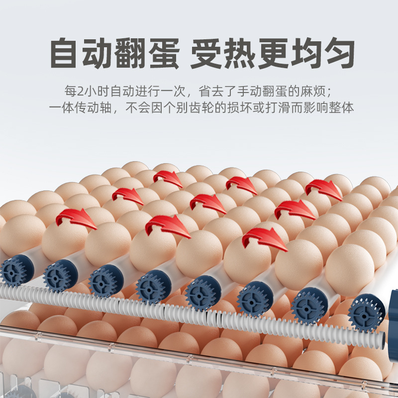 Incubadora de Huevos Inteligente para Codornices, Máquina de Incubación Inteligente para Cría de Aves, Fabricante Original