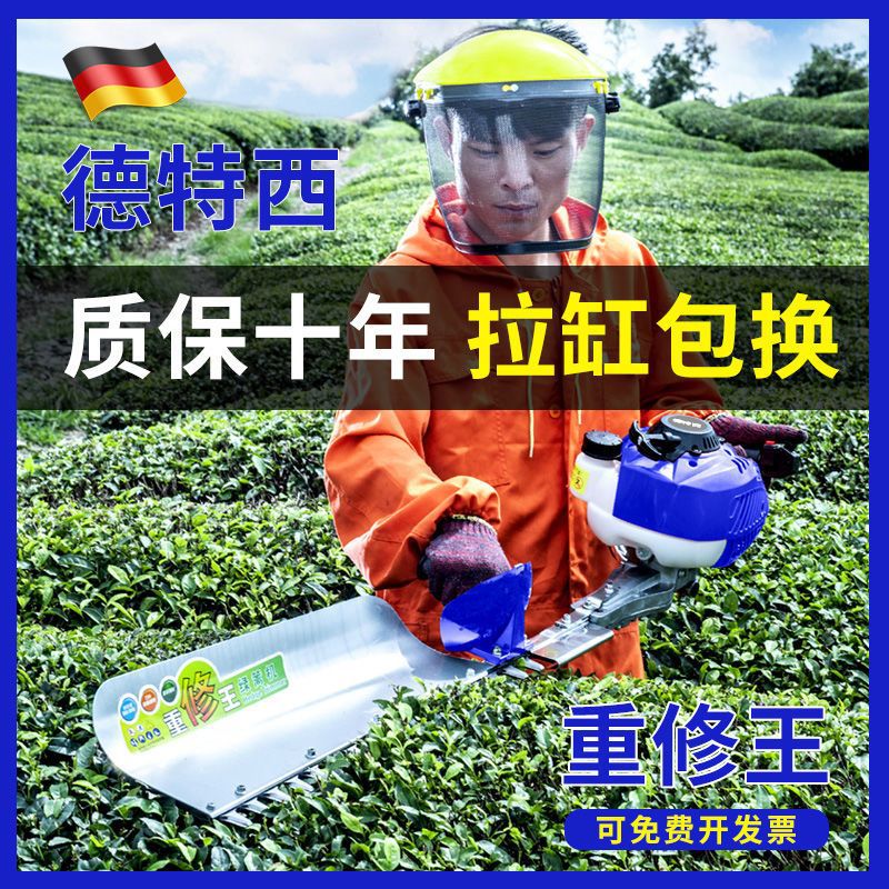 绿篱机德国进口汽油茶树茶叶修剪枝机园林绿化粗枝大功率重修王
