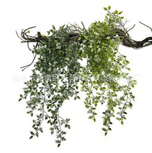 �S��ֱ�N����Gֲ �ڒ������_�ٗl �Ҿӿ͏d��c�b�