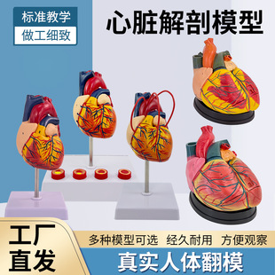 ����1:1���w���Kģ�� B���ʳ��t�W�ăȿ����K���ʽ̌Wģ��