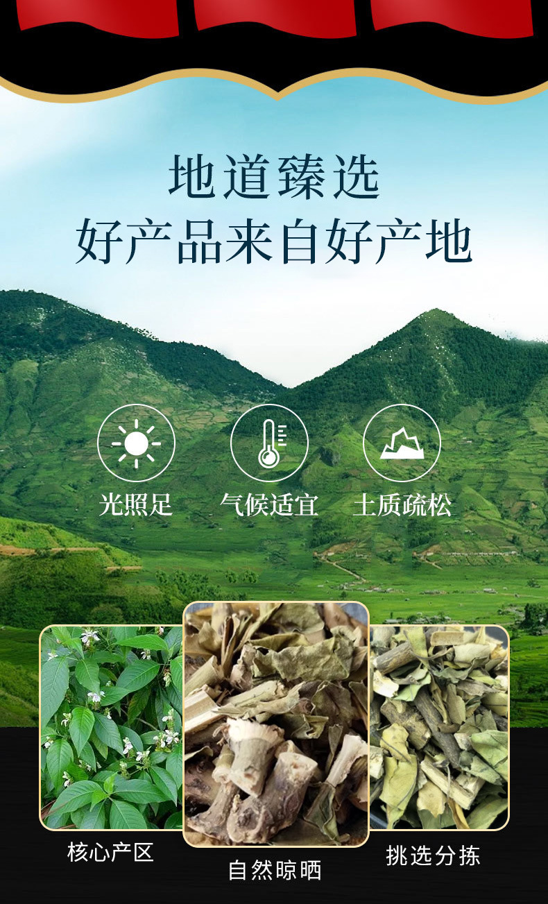 Da Bo Gu (Gendarussa vulgaris) — Dried TCM Herb for Bone-Setting & Wind-Damp Formulas key features