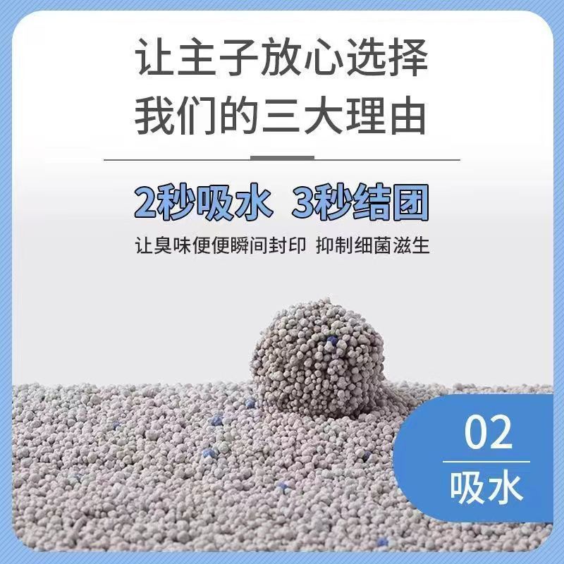 11e1d4d8-c424-4cfb-ad47-7ce5cea08d88.jpe