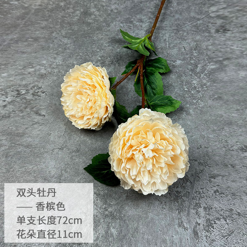 샴페인