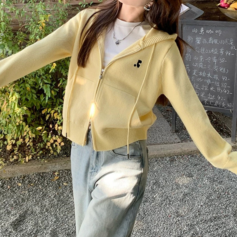 连帽卫衣开衫秋装女款2025年新款黄色毛衣针织小外套开春穿搭上衣|undefined