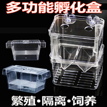 魚缸孵化盒小魚隔離盒熱帶魚繁殖盒亞克力隔離箱魚苗產卵器孵化器