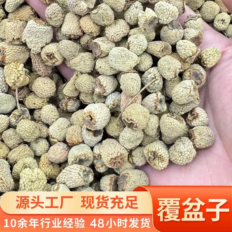 Authentic Wild Raspberries from Zhejiang Chun'An Qiandao Lake, Dried Raspberries, Chinese Medicinal Herbs, Wholesale, Sulfur-Free
