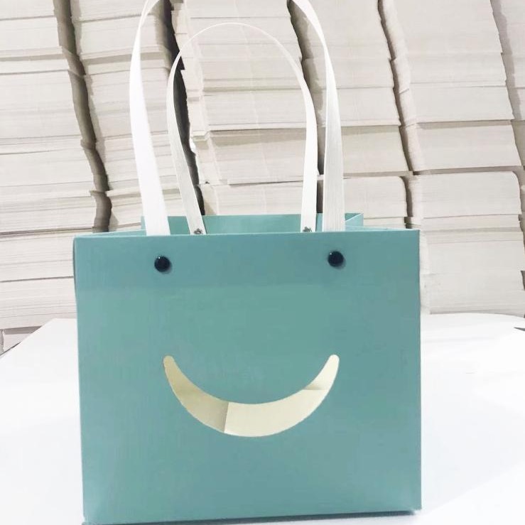 Bolso de mano con remache sonriente con ventana abierta transparente, caja de regalo de embalaje de vacaciones, joyería de juguete exquisita, bolsa de embalaje de plantas verdes al por mayor