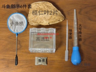 ��̫��̩�����~�Ꭷ�~�����������~�³������B���������b��̫��