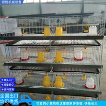 �S�����l ֱ�N ����С�u�\�� �u�\�ӯB С�u�\ �u�\��� ���r�u�\