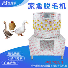 60Óë�C�u���ZÓë�C��늄Ӽ��ݰ�ë�CС�u�������g��