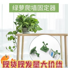 �G�}�̶�������ֲ��Gֲ�������������h늾��̶����������͹̶��A