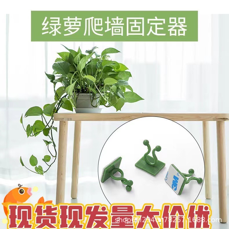 グリーンラスクレードラー固定具、蔓植物、緑の植物、壁クライミングフック、ワイヤー固定バックル、クライミングクレードル固定クリップ|undefined