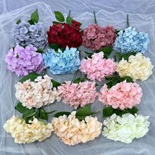 5�^���~�����̈��Ƶ껨���b�Y��c�Y�ò������˹��Շ��ٻ�