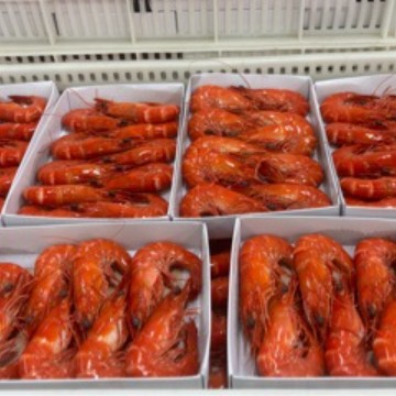 白灼虾红虾海鲜批发 冷冻散装大虾速冻连头虾熟虾 自助餐饮食材
